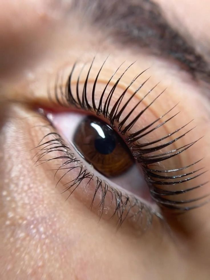 f803856975e6cebfd1591df9eb19d533